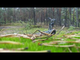 M4H02810.avi