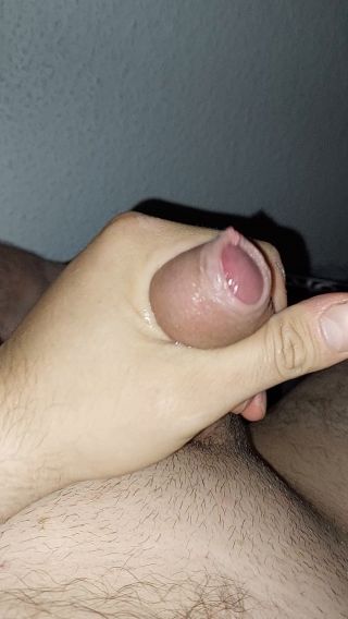 Sebaaa933