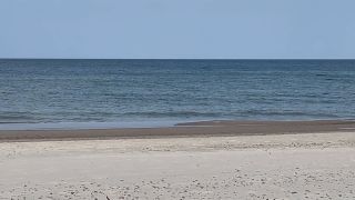 IMG_8932.mov