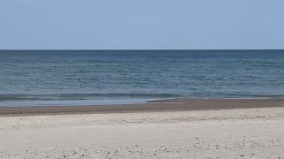 IMG_8932.mov