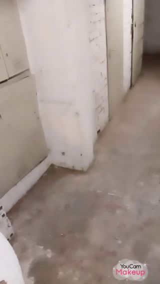 2025-09-23-20-56-28-807.mp4
