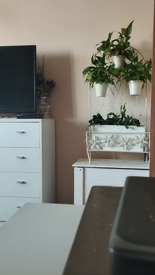 VID_20251004_105012.mp4