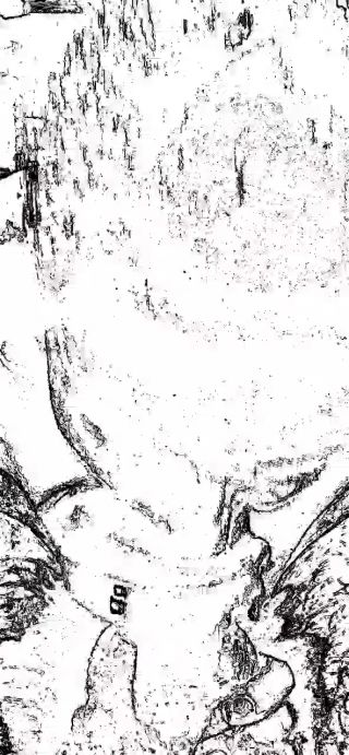 1000100986.mp4
