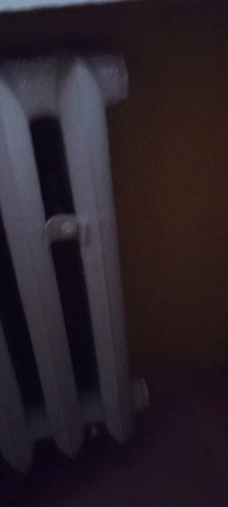 1000002402.mp4