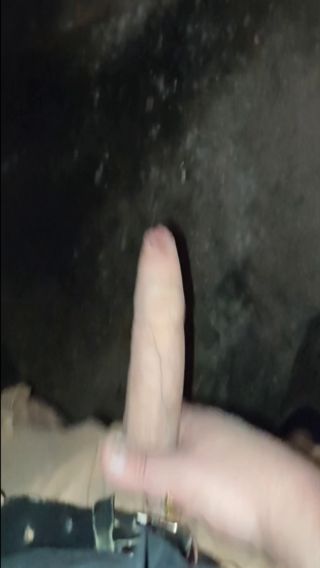 dziobak_