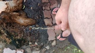 video_20230827_183204.mp4