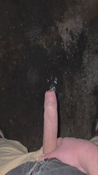 dziobak_