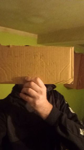 Alfffa