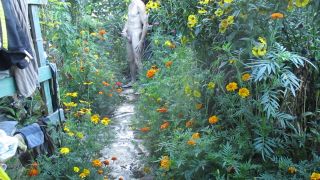 MVI_9570.MOV