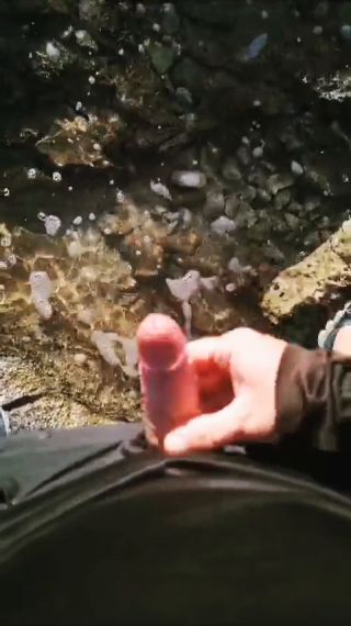 petal_20250314_063817.mp4