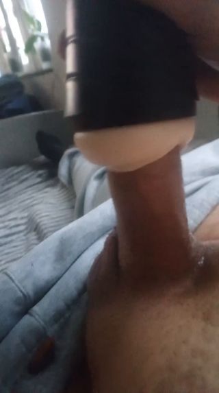 El1profesor