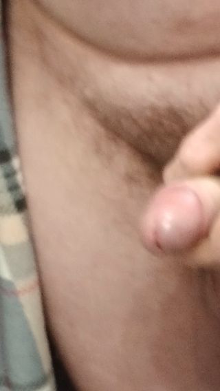 Brava67