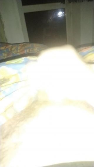 Bartek198507