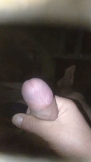 VID20251224005238.mp4