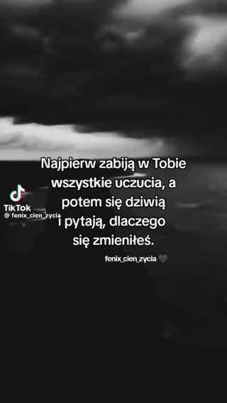 Duzykutass24