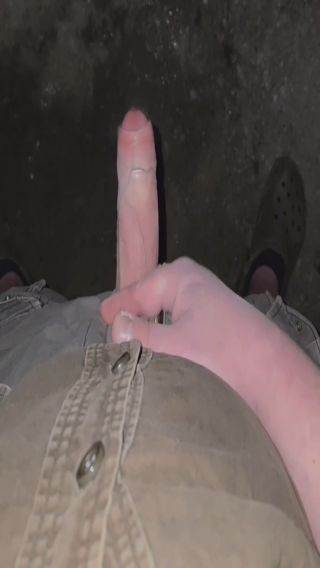 dziobak_