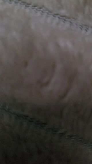 MALPEK666