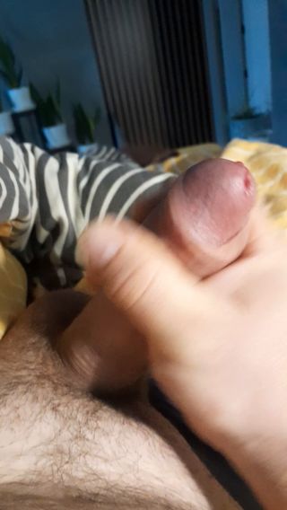 Niunius555