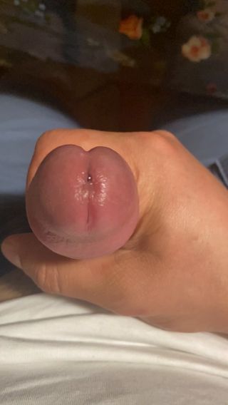 camvideo_945f028e.mp4