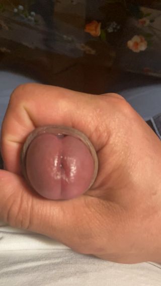 camvideo_945f028e.mp4