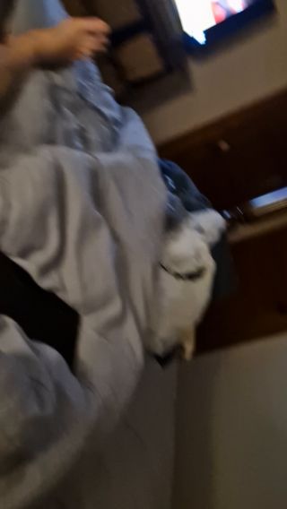 20250626_213541.mp4