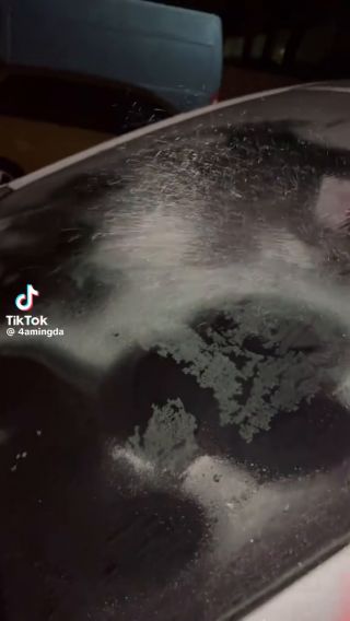 1000002742.mp4