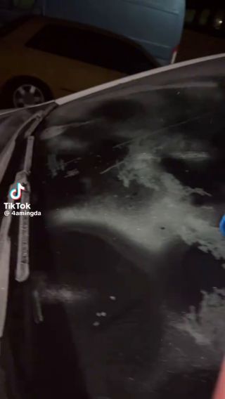 1000002742.mp4