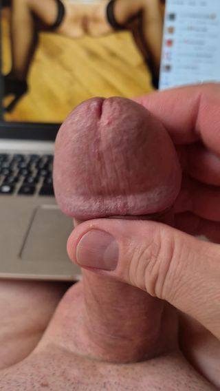 kochanek770727