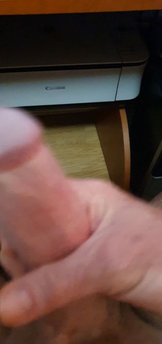 Miki568