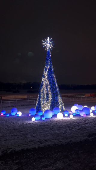 IMG_2208.mov