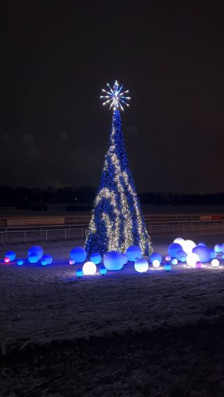 IMG_2208.mov