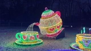 IMG_2189.mov