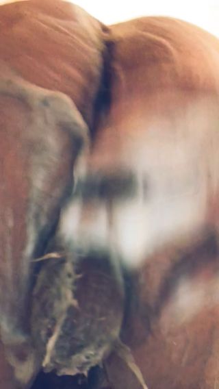 1081674138.mp4