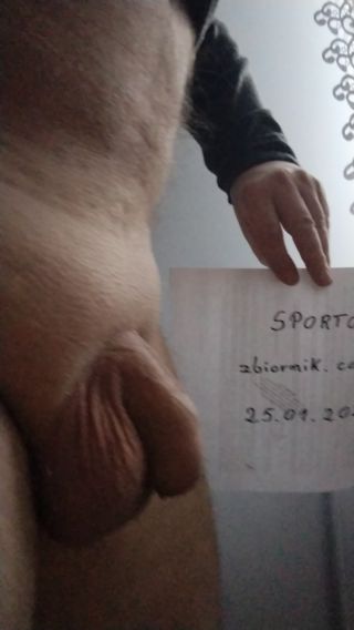 sporto88