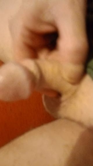 Sseebboo