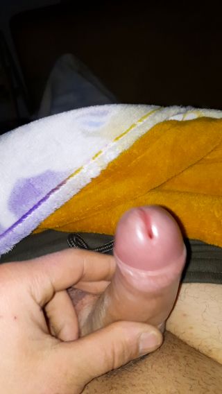 Pekus23