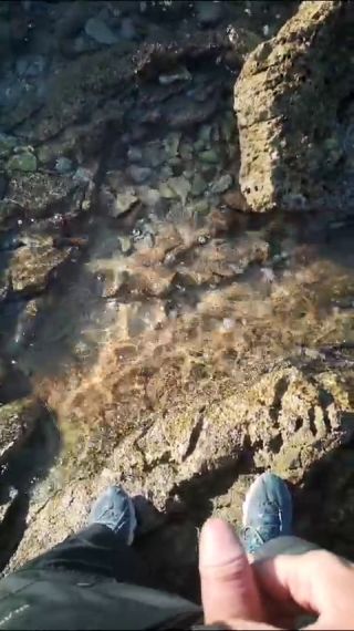 VID-20250113-WA0017.mp4