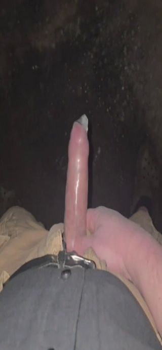 dziobak_