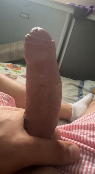 Lysy3389