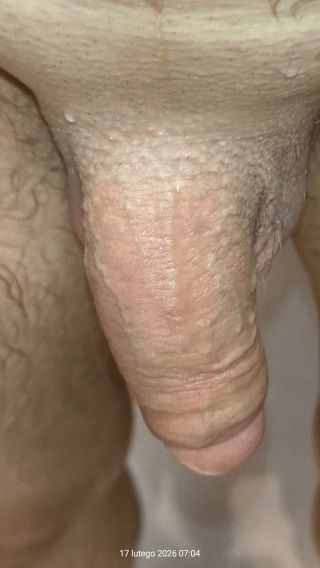 VID20260217071547.mp4
