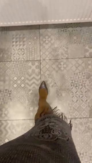20240729_36_new.mp4