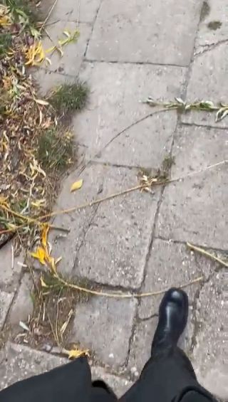 20240729_37_new.mp4