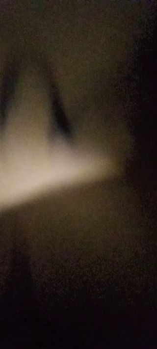 franciszek40m