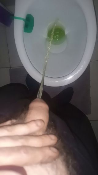 Paluch87