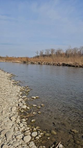 Naga plaża w Stadłach 9.03.2025