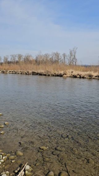 Naga plaża w Stadłach 9.03.2025