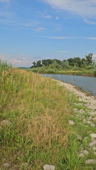 Naga plaża w Stadłach 12.07.2024