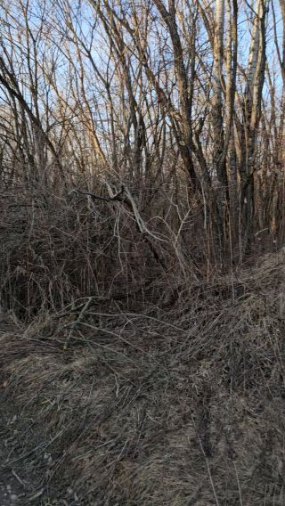 Stadła 5.03.2026