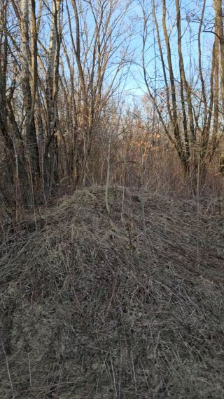 Stadła 5.03.2026
