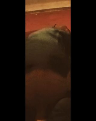 1000000246.mp4
